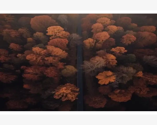 B2B兼职如何轻松上手月入过万不是梦